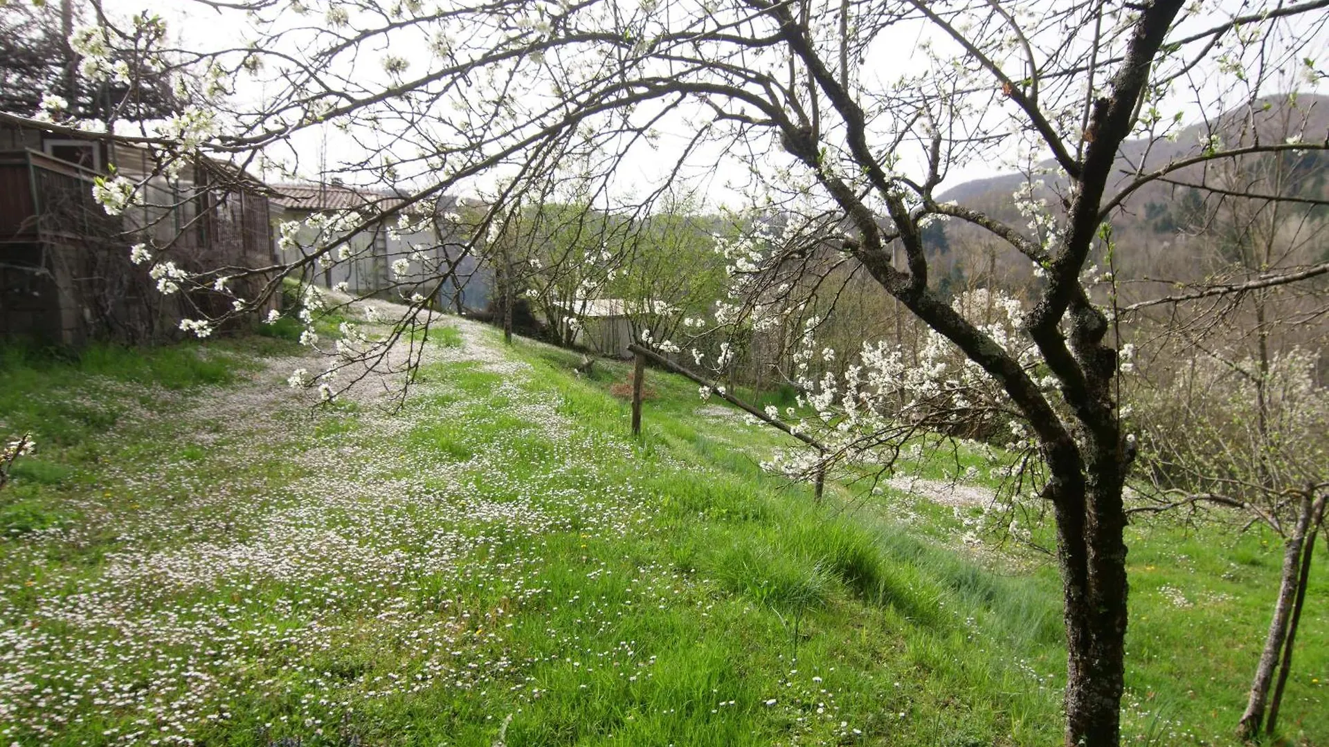 Villa Lolli Bardalone Itálie