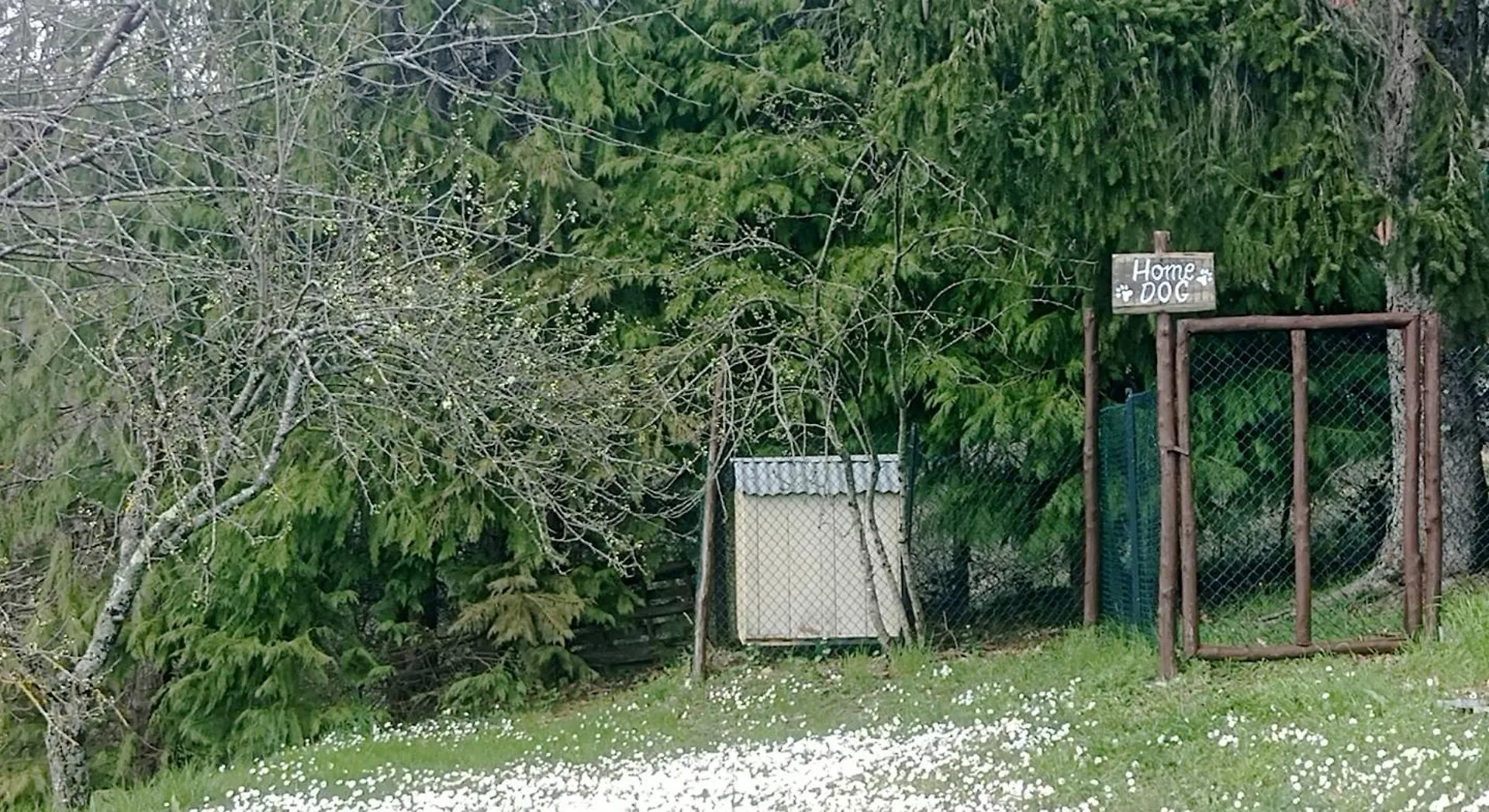 Prázdninový dům Villa Lolli Bardalone