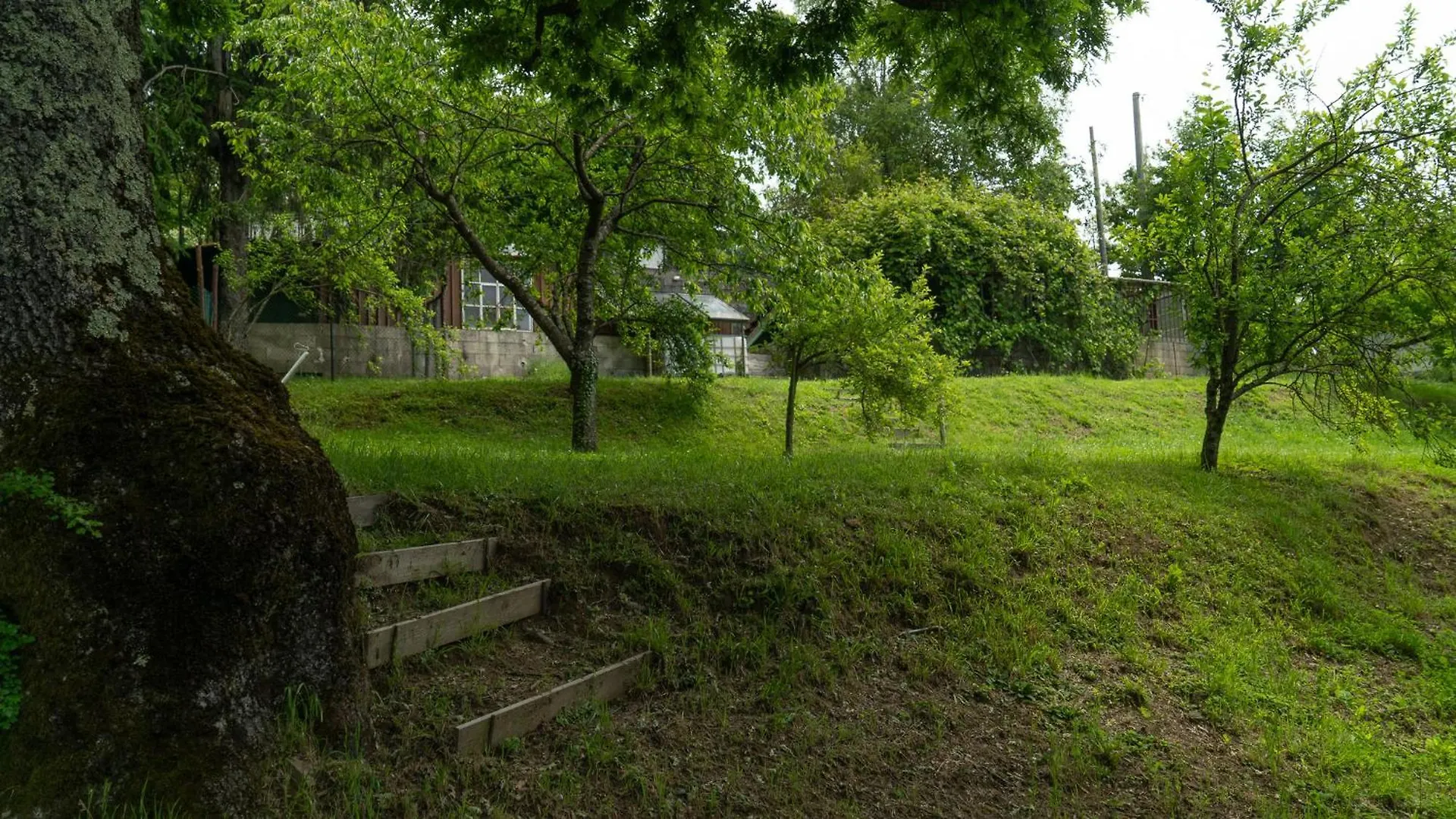 Villa Lolli Bardalone