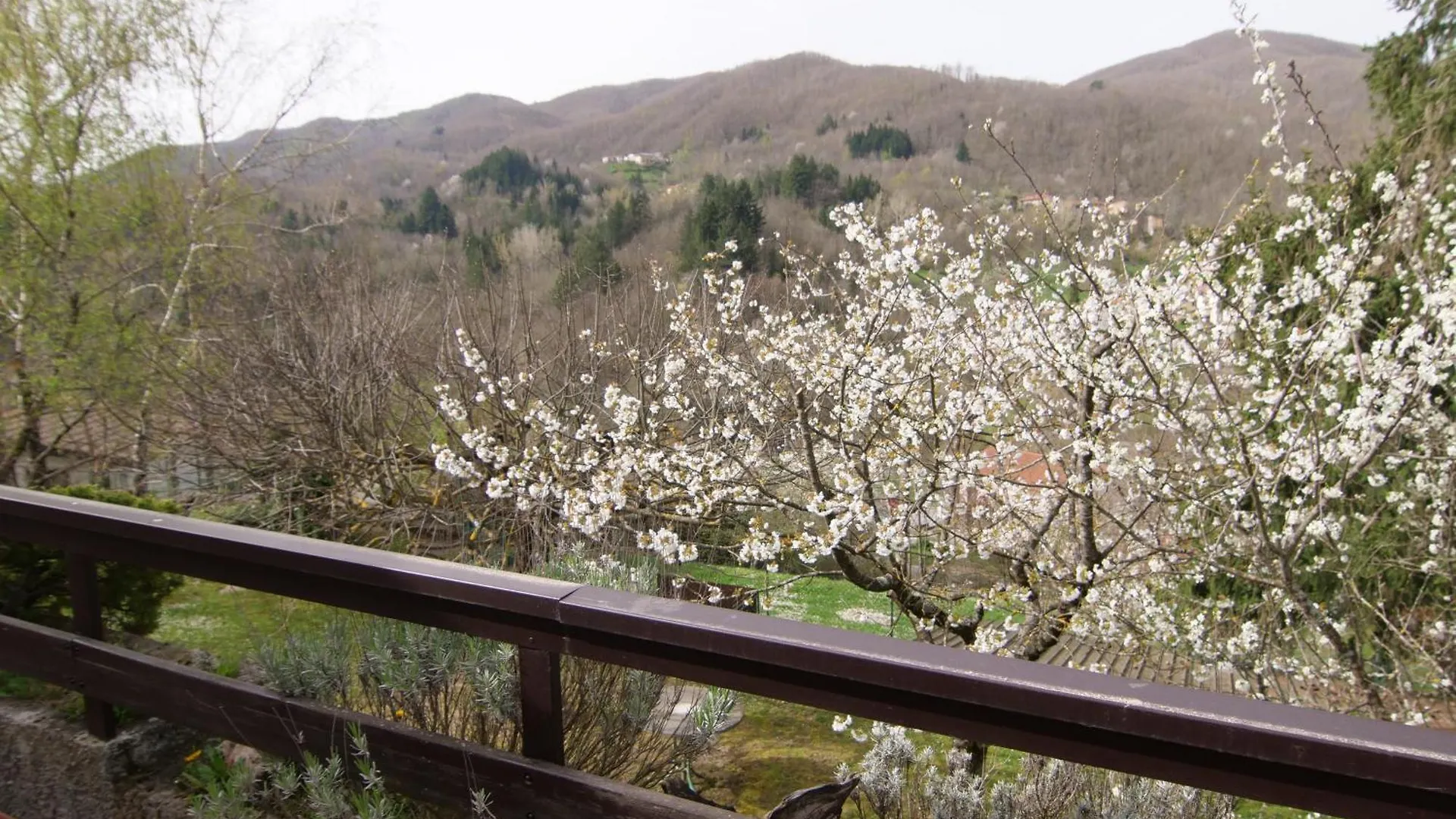 Holiday home Villa Lolli Bardalone